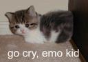 EMO2