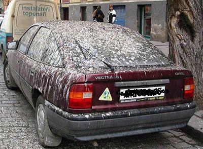 Parcare