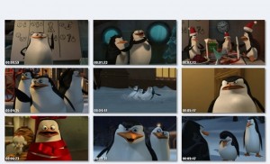 madagascar madagascar 300x182 The Penguins of Madagascar