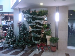 photo0232