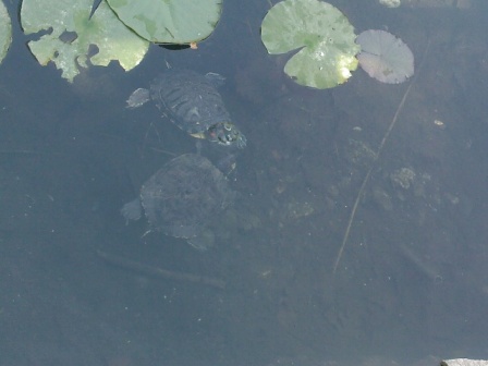 photo0322 photo0322
