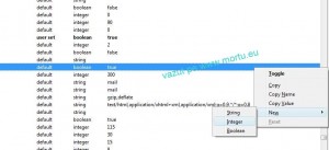 Fa firefox mai rapid 300x137 Cum sa faci Firefox sa se miste mai bine