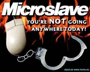 Micro slave 300x240 Stresul cibernetic isi face tot mai simtita prezenta