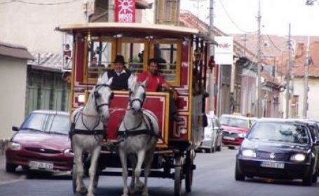 Omnibus Oradea Omnibus Oradea Calatoriti cu omnibusul in Oradea