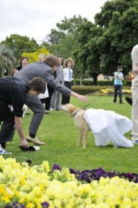 woofy wedding 640 09 199x300 Un tanar din Australia s a casatorit cu o catea
