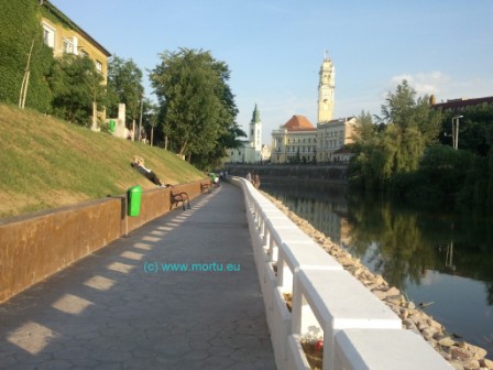 SAMSUNG Malul Crisului Repede Oradea 1024x768 Vaci pe Malul Crisului Repede